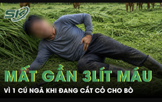 Đang cắt cỏ cho bò, người đàn ông ngã một cú mất gần 3 lít máu