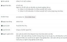 Công ty Cổ phần Việt Vương vi phạm chứng khoán