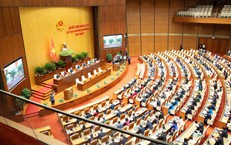Những trường hợp được loại trừ, miễn trách nhiệm hình sự theo Nghị quyết 37