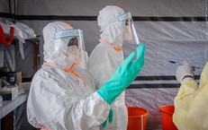 Dịch Ebola: Tỷ lệ tử vong trong cộng đồng tại CHDC Congo lên đến 75%