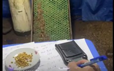 Khởi tố 7 người livestream bán xô cát đãi vàng