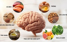 Dinh dưỡng đúng cách bảo vệ não bộ và cải thiện trí nhớ