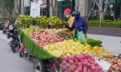 Chợ c&#243;c, chợ tạm ở H&#224; Nội vẫn hoạt động bất chấp lệnh tạm dừng