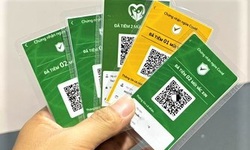 Lộ m&#227; QR &#39;thẻ xanh COVID&#39;, chuy&#234;n gia cảnh b&#225;o rủi ro kh&#243; lường