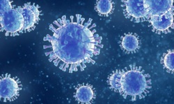 Biến chủng mới B.1.1.529 của SARS-CoV-2 nguy cơ lan rộng, WHO họp khẩn
