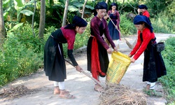 Ph&#225;t huy hiệu quả phong tr&#224;o &#39;Vệ sinh y&#234;u nước, n&#226;ng cao sức khỏe nh&#226;n d&#226;n&#39;