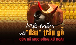 M&#234; mẩn với &quot;đ&#224;n&quot; tr&#226;u gỗ của g&#227; mục đồng đồng xứ Đo&#224;i