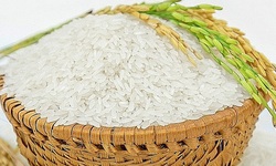 Xuất hơn 130.000 tấn gạo cho người d&#226;n kh&#243; khăn ở 24 tỉnh, th&#224;nh