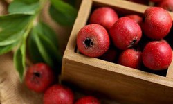 Một số vị thuốc tiêu thực, chữa bệnh tiêu hóa