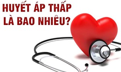 4 b&#224;i thuốc cho người huyết &#225;p thấp