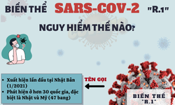 [Infographic] Biến thể R.1 mới c&#243; khả năng kh&#225;ng vaccine COVID-19