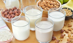 Sữa động vật v&#224; sữa thực vật, n&#234;n chọn loại n&#224;o?