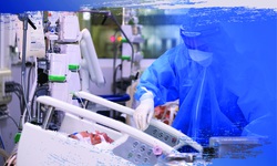 Nữ b&#225;c sĩ g&#225;c chuyện con mọn, đ&#243;n Tết ở trong &#39;tinh thần&#39; từ buồng bệnh