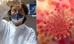 WHO lên tiếng về biến chủng mới với 46 đột biến được phát hiện ở Pháp 