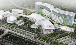 B&#236;nh Dương mời chuy&#234;n gia hiến kế cho ng&#224;nh y tế