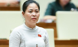 ĐBQH đề xuất &#225;p dụng c&#225;ch t&#237;nh gi&#225; đặc th&#249; đối với lĩnh vực y tế
