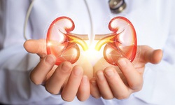 Bệnh nh&#226;n gh&#233;p thận cần lưu &#253; những g&#236;?