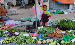 Gi&#225; rau xanh tăng &#39;ch&#243;ng mặt&#39;, d&#226;n rủ nhau giảm rau tăng thịt