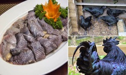 Lạ đời giống g&#224; ăn đ&#225;, uống sương đ&#234;m, đen từ xương đen ra, gi&#225; cao &#39;ngất&#39; vẫn kh&#244;ng c&#243; để mua