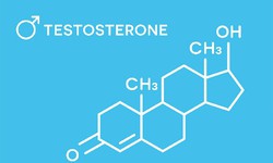Testosterone c&#243; vai tr&#242; thế n&#224;o trong cơ thể nữ giới?