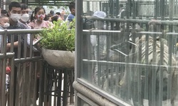 Nghỉ lễ, công viên Thủ Lệ đông nghẹt người sau thời gian dài vắng vẻ