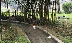 Thi thể cháy xém ở công viên và hành trình lật mặt gã bạn cũ tàn độc