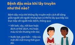 [Infographic] Giải đ&#225;p của WHO về bệnh đậu m&#249;a khỉ: Triệu chứng, đường l&#226;y truyền v&#224; c&#225;ch bảo vệ bản th&#226;n