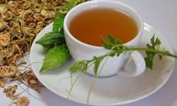 Mướp đắng gi&#250;p thanh nhiệt, giải độc ng&#224;y h&#232;