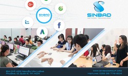 Đến với C&#244;ng ty Mạng Sinbad - sự chuy&#234;n nghiệp trong lĩnh vực Digital marketing
