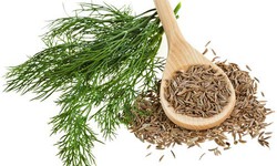 4 thảo dược hỗ trợ trị đau mắt đỏ tại nh&#224;