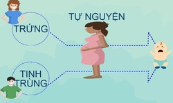 Kiểm tra, gi&#225;m s&#225;t, ngăn chặn mang thai hộ v&#236; mục đ&#237;ch thương mại
