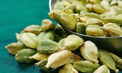 4 loại thảo mộc tốt cho hệ ti&#234;u h&#243;a