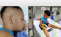 Chuyên gia cấp cứu, hồi sức nói gì về vụ bé 3 tuổi bị nhốt vào tủ cấp đông?