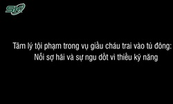 Thượng t&#225; c&#244;ng an Đ&#224;o Trung Hiếu tiết lộ l&#253; do ẩn sau tội &#225;c vụ nh&#233;t tủ đ&#244;ng bịt đầu mối