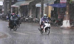 Thời tiết 24/8: H&#224; Nội v&#224; c&#225;c tỉnh ph&#237;a Bắc c&#243; mưa r&#224;o v&#224; d&#244;ng