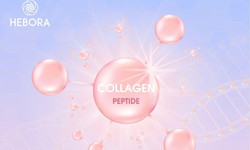 Sự thật cần biết về collagen trước khi sử dụng