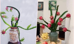 Khách thích trưng đồ độc lạ, cành cọ, cành thanh long bỗng chốc hút hàng