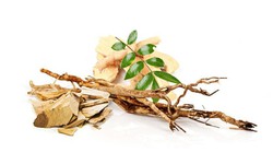 Chiết xuất c&#226;y b&#225;ch bệnh hỗ trợ trị yếu sinh l&#253; ở nam giới