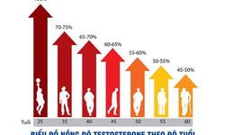 Bổ sung testosterone - Lợi &#237;ch v&#224; những nguy cơ tiềm ẩn