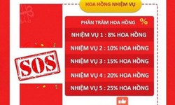 Mất 1 tỷ đồng khi l&#224;m cộng t&#225;c vi&#234;n thanh to&#225;n đơn h&#224;ng online