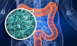 Ba chất bổ sung gi&#250;p đường ruột khỏe mạnh