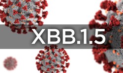 L&#224;m thế n&#224;o để biết bạn nhiễm biến thể XBB, XBB.1.5 hay BA.5?