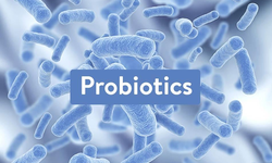 Probiotic gi&#250;p giảm c&#226;n v&#224; mỡ bụng như thế n&#224;o?