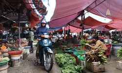 Quảng Ninh: Ph&#225;t kit kiểm tra nhanh ATTP tại c&#225;c chợ