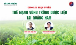 Giao lưu trực tuyến: Thế mạnh v&#249;ng trồng dược liệu tại Quảng Nam