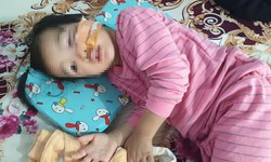 Bé 3 tuổi bị hai con chó Becgie nhà hàng xóm cắn nát mặt
