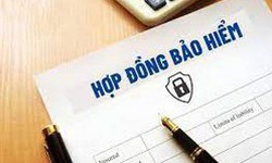 Bộ Tài chính đang thanh tra bảo hiểm Manulife