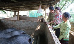 Y&#234;n B&#225;i t&#237;ch cực truyền th&#244;ng s&#226;u rộng về Chương tr&#236;nh MTQG 1719 đến người d&#226;n