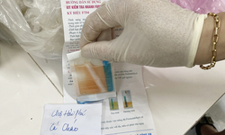 Phát hiện loại cá đặc sản dương tính với formol khi test nhanh tại nhiều chợ ở Bố Trạch, Quảng Bình