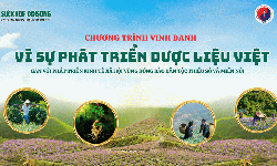 [Inforgraphic] Đồng b&#224;o d&#226;n tộc thiểu số trồng dược liệu được tiếp th&#234;m động lực